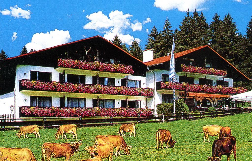 Farchanter Alm Extérieur photo